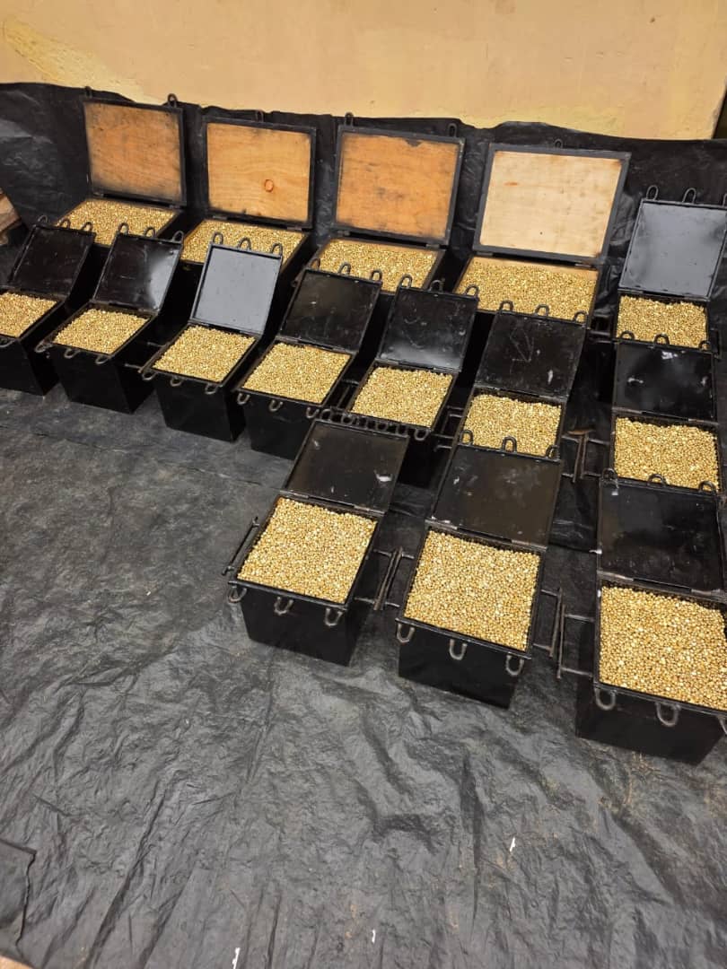 gold in store cases and cases